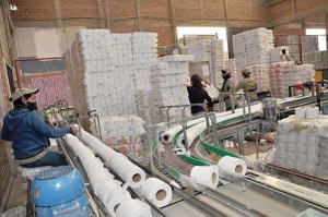 Bolivia podría exportar 60 mil paquetes de papel higiénico a Venezuela