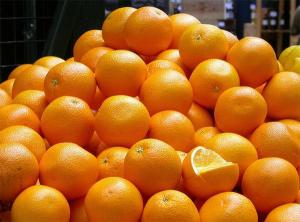 Productores de naranja podrían detener distribución de la fruta