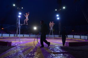 Ciudad de México prohíbe animales en los circos