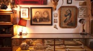 ¡Escalofriante! Inauguran museo inspirado en rituales de muerte en Nueva York