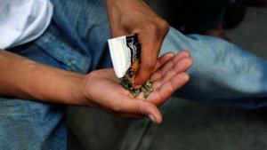Stoopid, la marihuana sintética que alarma a los Estados Unidos