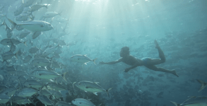 ¡Gitanos del mar! Esta tribu puede aguantar hasta 13 minutos bajo el agua