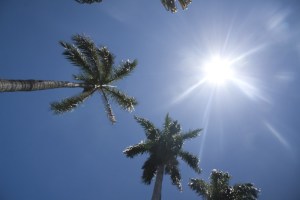 Clima en Miami: el comienzo frío conduce a una hermosa tarde