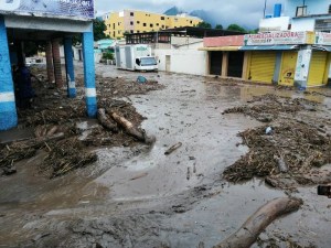 Deputies of the NA warned about the emergency in Aragua due to the flooding of the El Limón River