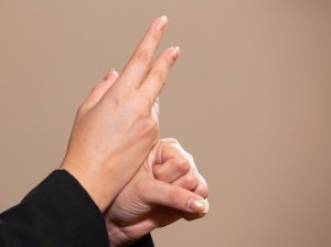 La Casa Blanca incluirá a intérpretes de lenguaje de señas en las conferencias de prensa