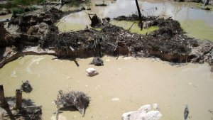 ONG pidieron investigar delitos ambientales ligados a la minería ilegal en Amazonas