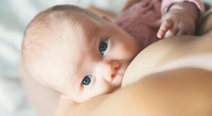 Científicos desarrollaron glándula mamaria interactiva para enseñar a madres sobre la lactancia