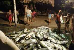 Pesca artesanal en crisis: Paralizada más del 70% de la flota en las islas de Margarita y Coche
