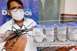 Perú en emergencia sanitaria tras rebrote de “Dengue” en más de 51 regiones