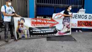 Organizaciones exigen ley para abolir las corridas de toros en Táchira