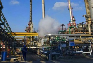 Carabobo chemical industries have 80% idle capacity