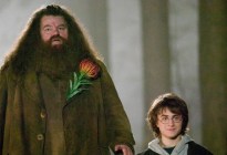 “Harry Potter”: los actores de la franquicia que han muerto