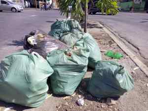 La basura reina en la avenida principal de Piñonal en Maracay