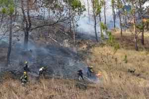 Incendios, deforestación y explotación de carbón atentan contra embalses y cuencas de agua del municipio Torres en Lara