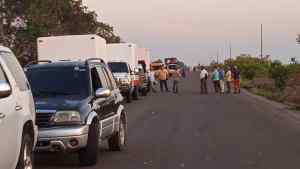 Se alzaron los indígenas y trancan la carretera Apure-Amazonas para exigir liberación de su líder