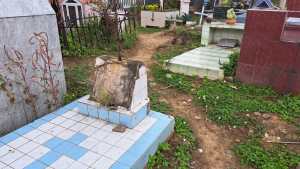 En el cementerio de San Antonio del Táchira hasta las ánimas huyen despavoridas (VIDEO)