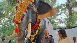 Un templo usa un elefante robótico para evitar la crueldad con los animales (VIDEO)