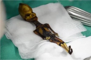 Resuelven el misterio del esqueleto del “extraterrestre” hallado en iglesia abandonada de Chile