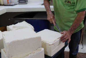 Cómo Venezuela se convirtió en el segundo productor de queso de América Latina