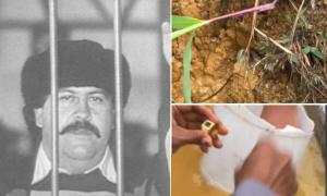 El supuesto “hallazgo valioso” de Pablo Escobar hecho por un tiktoker en Guatapé