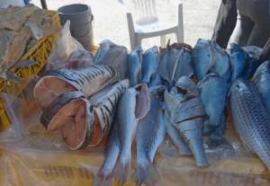 Merideños estiran los “cobres” para ver si pueden comer pescado durante Semana Santa